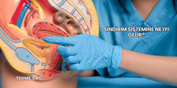 Sindirim Sistemine Ne İyi Gelir?