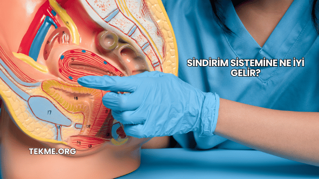 Sindirim Sistemine Ne İyi Gelir?
