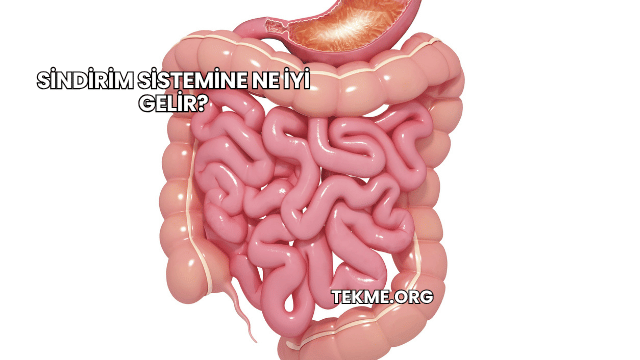 Sindirim Sistemine Ne İyi Gelir?