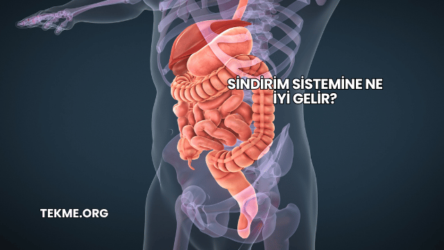 Sindirim Sistemine Ne İyi Gelir?