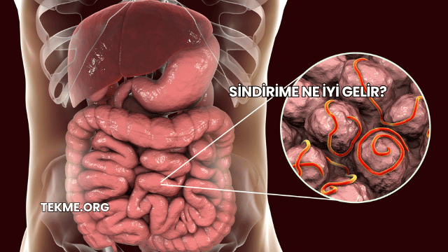 Sindirime Ne İyi Gelir?