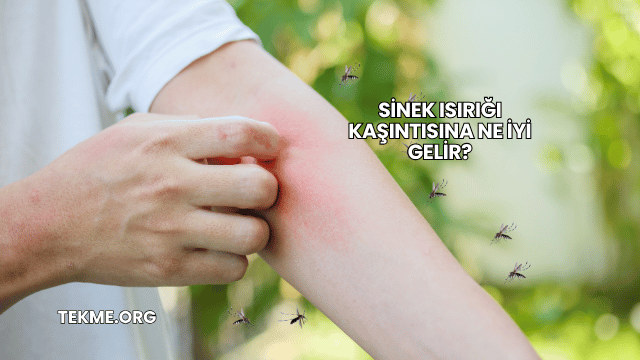 Sinek Isırığı Kaşıntısına Ne İyi Gelir?