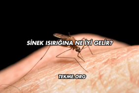 Sinek Isırığına Ne İyi Gelir?