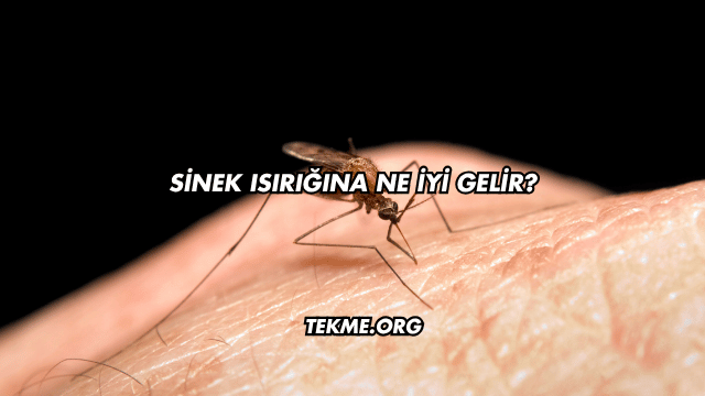 Sinek Isırığına Ne İyi Gelir?