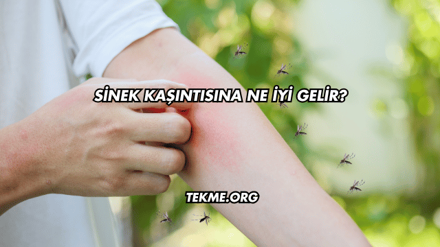 Sinek Kaşıntısına Ne İyi Gelir?