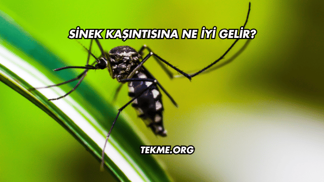 Sinek Kaşıntısına Ne İyi Gelir?