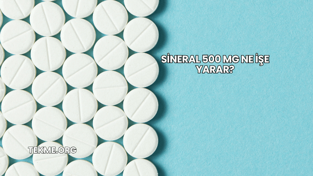 Sineral 500 Mg Ne İşe Yarar?