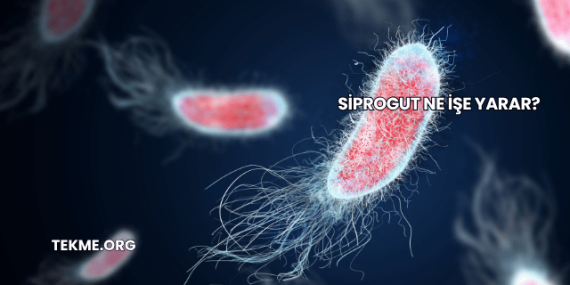 Siprogut Ne İşe Yarar?