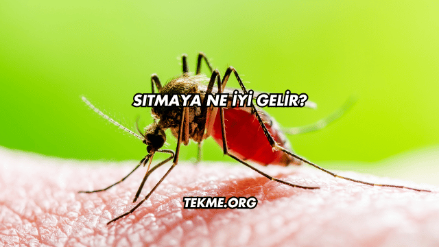Sıtmaya Ne İyi Gelir?
