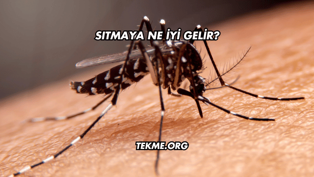 Sıtmaya Ne İyi Gelir?