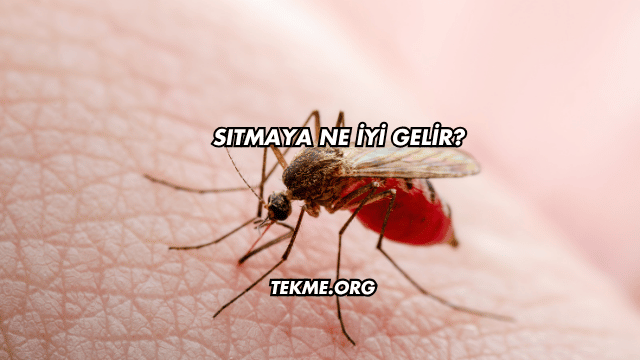 Sıtmaya Ne İyi Gelir?