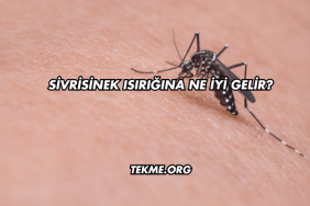 Sivrisinek Isırığına Ne İyi Gelir?