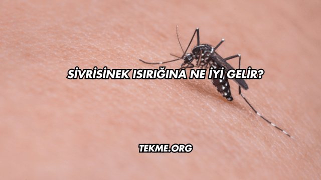 Sivrisinek Isırığına Ne İyi Gelir?