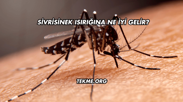 Sivrisinek Isırığına Ne İyi Gelir?