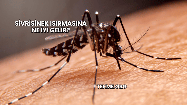 Sivrisinek Isırmasına Ne İyi Gelir?