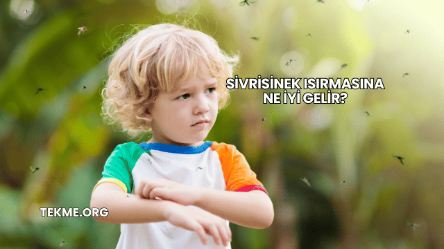 Sivrisinek Isırmasına Ne İyi Gelir?