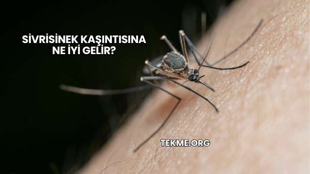 Sivrisinek Kaşıntısına Ne İyi Gelir?