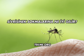 Sivrisinek Sokmalarına Ne İyi Gelir?