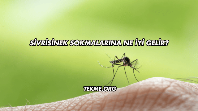 Sivrisinek Sokmalarına Ne İyi Gelir?