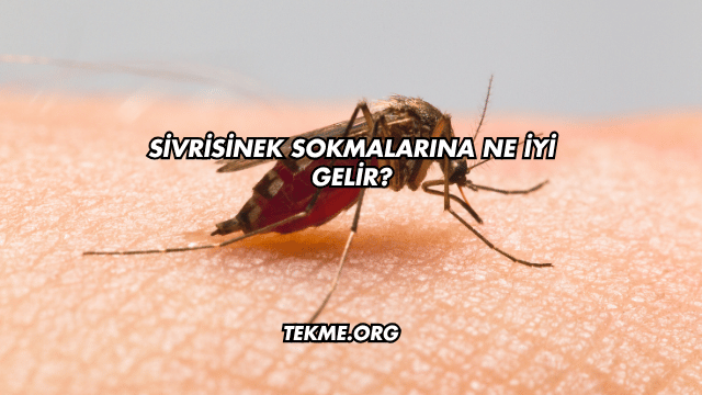 Sivrisinek Sokmalarına Ne İyi Gelir?