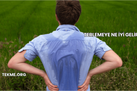 Terlemeye Ne İyi Gelir?