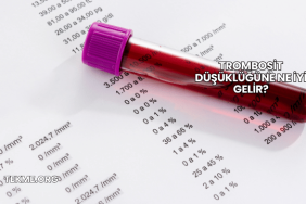 Trombosit Düşüklüğüne Ne İyi Gelir?