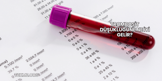 Trombosit Düşüklüğüne Ne İyi Gelir?