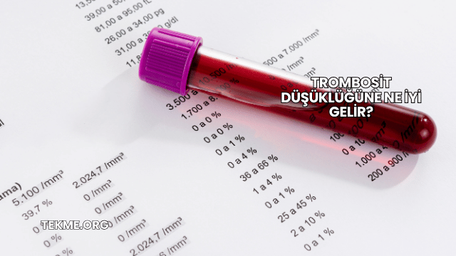 Trombosit Düşüklüğüne Ne İyi Gelir?