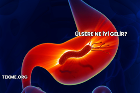 Ülsere Ne İyi Gelir?