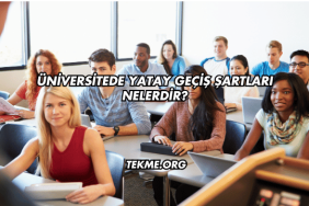 Üniversitede Yatay Geçiş Şartları Nelerdir?