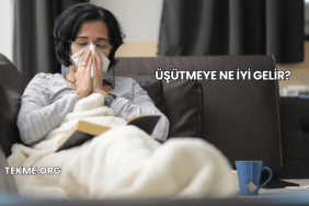 Üşütmeye Ne İyi Gelir?