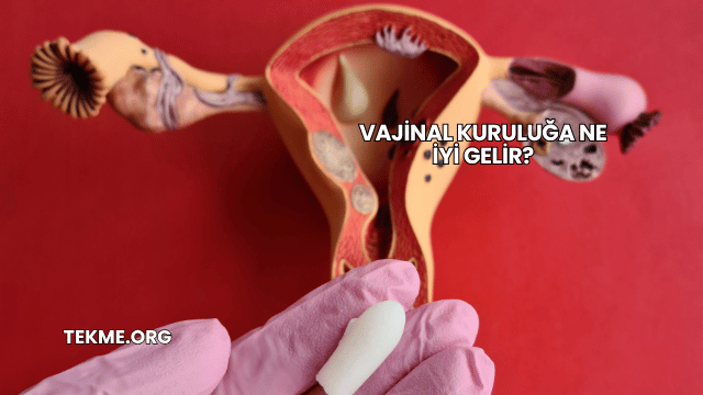Vajinal Kuruluğa Ne İyi Gelir?