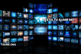 Vestel TV Alınır mı?