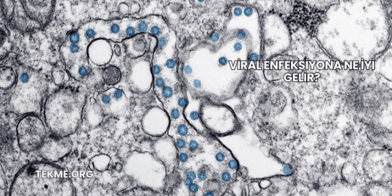 Viral Enfeksiyona Ne İyi Gelir?