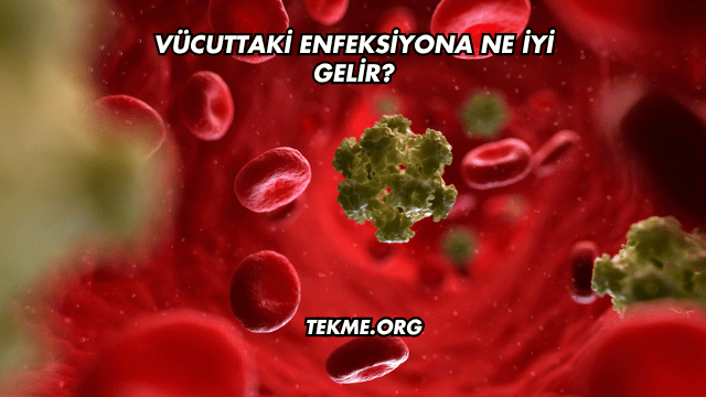 Vücuttaki Enfeksiyona Ne İyi Gelir?