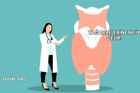 Yağ Bezelerine Ne İyi Gelir?