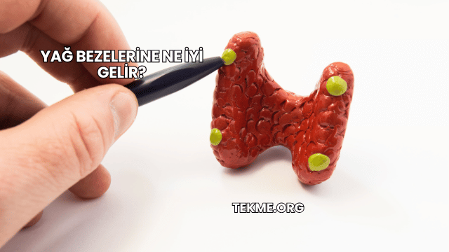 Yağ Bezelerine Ne İyi Gelir?