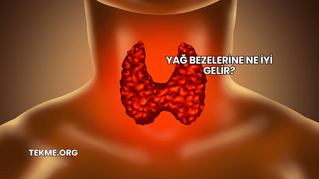 Yağ Bezelerine Ne İyi Gelir?