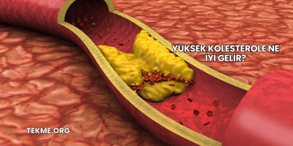 Yüksek Kolesterole Ne İyi Gelir?