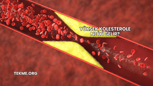 Yüksek Kolesterole Ne İyi Gelir?
