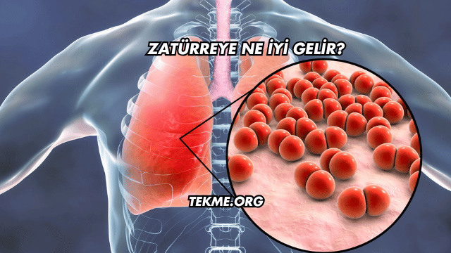 Zatürreye Ne İyi Gelir?