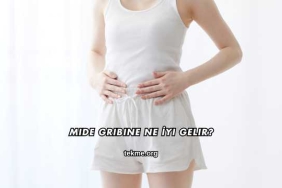 Mide Gribine Ne İyi Gelir?