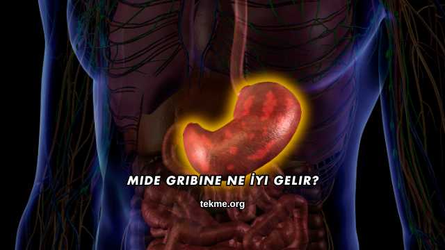 Mide Gribine Ne İyi Gelir?