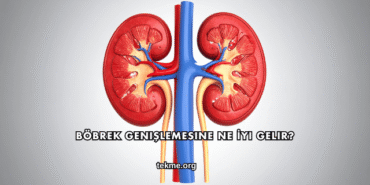 Böbrek Genişlemesine Ne İyi Gelir?