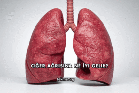 Ciğer Ağrısına Ne İyi Gelir?
