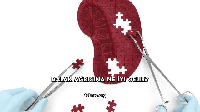 Dalak Ağrısına Ne İyi Gelir?