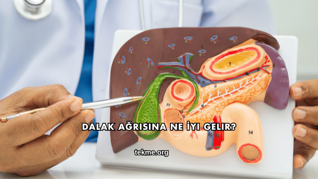 Dalak Ağrısına Ne İyi Gelir?