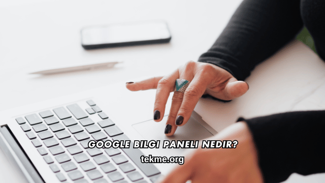 Google Bilgi Paneli Nedir?