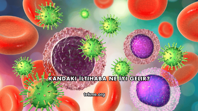 Kandaki İltihaba Ne İyi Gelir?