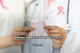 Meme Kanserine Ne İyi Gelir?